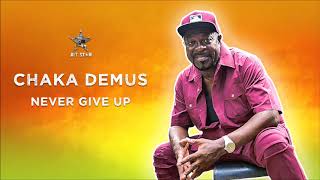 Never Give Up  Chaka Demus OFFICIAL AUDIO  2019 Jet Star Music [upl. by Gentilis579]