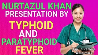 TYPHOID amp PARATYPHOID FEVER PRESENTATION BY NURTAZUL KHAN [upl. by Aicekal]