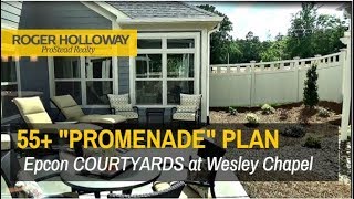 55 Communities Charlotte NC  Epcon Courtyards at Wesley Chapel [upl. by Tekla]