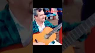 musica sertanejo sanfona caipira [upl. by Akimehs610]