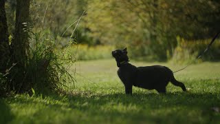 Catskills  Canon C70  Helios 442 [upl. by Bellamy432]