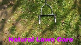 How To Aerate A Lawn By Hand [upl. by Sykleb]