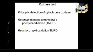 Oxidase test Handson lab [upl. by Maillij]