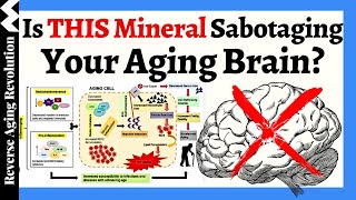 The Shocking Link of THIS Mineral amp Your Aging Brain  Exploring Promising Therapeutic Strategies [upl. by Rohpotsirhc800]