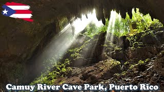 Camuy River Cave National Park Exploring Puerto Rico [upl. by Assilana584]