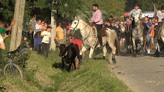 BARBENTANE BANDIDO PARCOURS OUVERT 11052024 ☀️ [upl. by Maurie277]