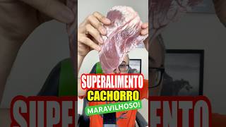 ❇️SUPER ALIMENTO para cachorro cachorro alimentacaonaturalparacaes goldenretriever pitbull pet [upl. by Eiuol138]