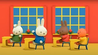 Classroom Manners with Miffy  Miffy  Sweet Little Bunny  Kids Shows [upl. by Yelsnit]