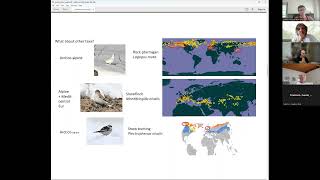 GMBA webinar Alpine ecosystems around the world similarities and differences 22082023 [upl. by Grega]