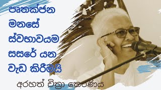 ශික්ෂාපදද අවශ්‍ය  සිත දකින එකද  Arahath Chithra Theraniya [upl. by Kelbee]