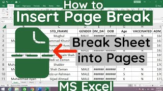 How to Insert Page Break in MS Excel  How to Break Page in MS Excel  MS Excel How to Break Page [upl. by Caldeira8]