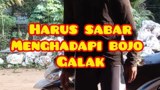 Sabar Menghadapi Bojo Galak shorts [upl. by Trefor141]