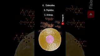 Repasa fisiología Endocrina  Preguntas y respuestas de la fisiología del sistema endocrino [upl. by Asiar]