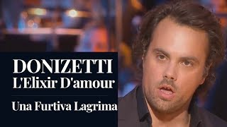 DONIZETTI  Lelisir damore quotUna Furtiva Lagrimaquot Behr HD [upl. by Essej]