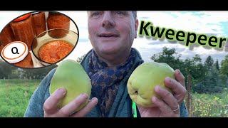 Kweepeer jam zelf maken [upl. by Zulaledairam]