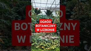 Najlepszy ogród botaniczny w Lizbonie Estufa Fria portugalia travel lizbona wakacje natura pt [upl. by Pachton]