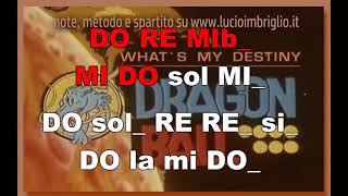 Whats my destiny Dragon Ball  karaoke notazionale [upl. by Rodmun]