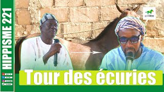 TOUR DES ECURIES AVEC BAYE ADAMA CISSE TIVAOUNE [upl. by Eural]