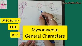 Myxomycota General Characters l Myxomycota l Biology By Neha Binwal 🌻 UPSC Botany l MSc l BSc l [upl. by Jaquenetta]