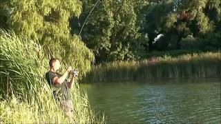 Capture dun beau Silure avec un équipement pour pêcher la Carpe [upl. by Turoff615]