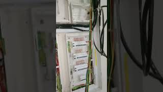 DB wiring connection electrician panel electricwire electrical electricion electricity shorts [upl. by Andromada]