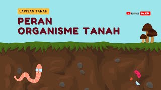 PERAN ORGANISME TANAH  TANAH DAN KEBELANGSUNGAN KEHIDUPAN [upl. by Fellner]