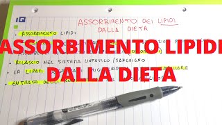 Digestione e assorbimento lipidi nella dieta  Lezioni di Biochimica [upl. by Virgil]