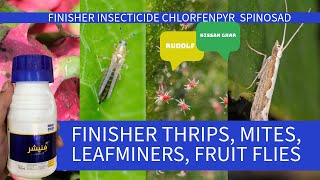 Finisher Insecticide by Rudolf Thrips mites sucking insects Chlorfenpyr  Spinosad Kissan Ghar [upl. by Lomaj949]