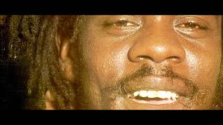 Dennis Brown amp Aswad  Dub Fire  Land Of Promise  Promised Land  Dub Fire reprise [upl. by Koziel715]