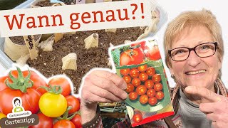 🍅 Der perfekte AussaatZeitraum für Tomaten [upl. by Adilem]