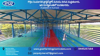 Slatted Floor Goat Rearing Available in Kurnool in Andhra Pradesh  9445257164 [upl. by Anitirhc]