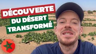 Voyage dans le désert marocain  VLOG de mon 40ème séjour avec Maroc en Conscience [upl. by Adnorehs49]