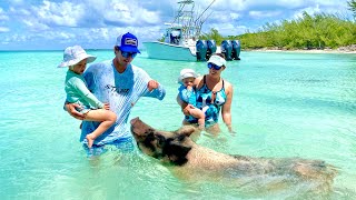 MASSIVE BAHAMAS PIGS  Swimming with Pigs Turtles and Stingrays in Eleuthera [upl. by Thorley]