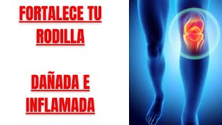 🦵FORTALECE tu RODILLA INFLAMADA❌ y con LÍQUIDO ✅HAZLO SENTADO y en 10 MINUTOS🕒 [upl. by Eldwin]