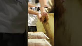 MUSTARD OIL MAKING IN FACTORY FULL PROCESS SHORTS FOOD FACT FACTORY viralvideos [upl. by Davita154]