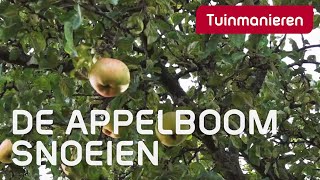 De appelboom snoeien hoe doe je dat  Tuinmanieren [upl. by Togram830]