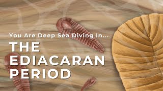 You Are Deep Sea Diving In The Ediacaran Period [upl. by Ettennyl]