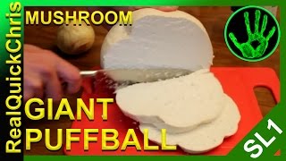 giant puffball mushroom to eat [upl. by Oflunra]