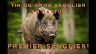 ChasseBattue Tir de gros sanglier au Calibre 12 [upl. by Ennaeus148]