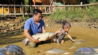 Harvest giant fish ponds with your children to sell at the market  CookingXuanTruong [upl. by Cissie]