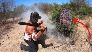 😎ENCONTRAMOS EL ORO DEL MONTE 💯PANAL DE ABEJAS 🐝 [upl. by Hubey120]