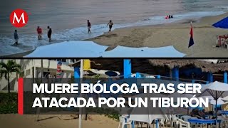 Reabren la Playa de Melaque en Jalisco tras el ataque de tiburón a una mujer [upl. by Vudimir]