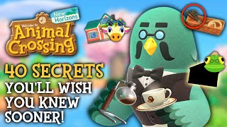 40 SECRETS Youll WISH You Knew Sooner  Animal Crossing New Horizons [upl. by Erdnassac946]