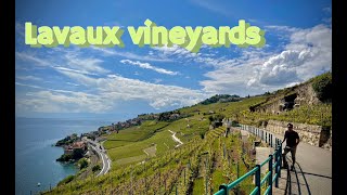 Day visit to Lavaux Vineyards  UNESCO world heritage  Switzerland 🇨🇭 [upl. by Jarlath]