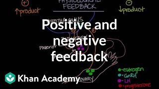 Physiological concept of positive and negative feedback  Behavior  MCAT  Khan Academy [upl. by Lucita]