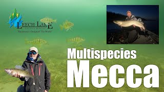 Leech Lake Multispecies Mecca [upl. by Elisabet]