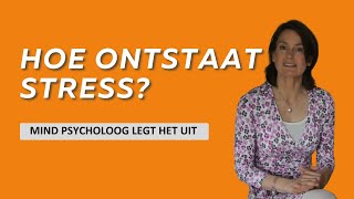 Hoe ontstaat stress MIND psycholoog Lidewy Hendriks leg het uit [upl. by Irak]