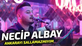 Necip Albay  Ankarayı Sallamazmıyım amp Canımın İçindesin [upl. by Ilarrold915]