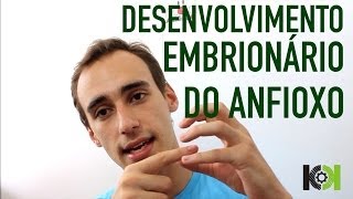 Embriologia  Desenvolvimento Embrionário do Anfioxo [upl. by Idette]