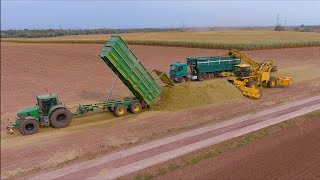 Mais 2021  Loading Silage with a Ropa L8  LU Frieling  JD 8600i  John Deere 7530  Maishäckseln [upl. by Claiborn]